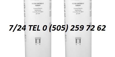 General Electric GE Profile Su Arıtma Servis