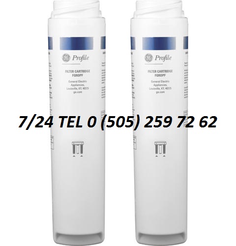 General Electric GE Profile Su Arıtma Servis